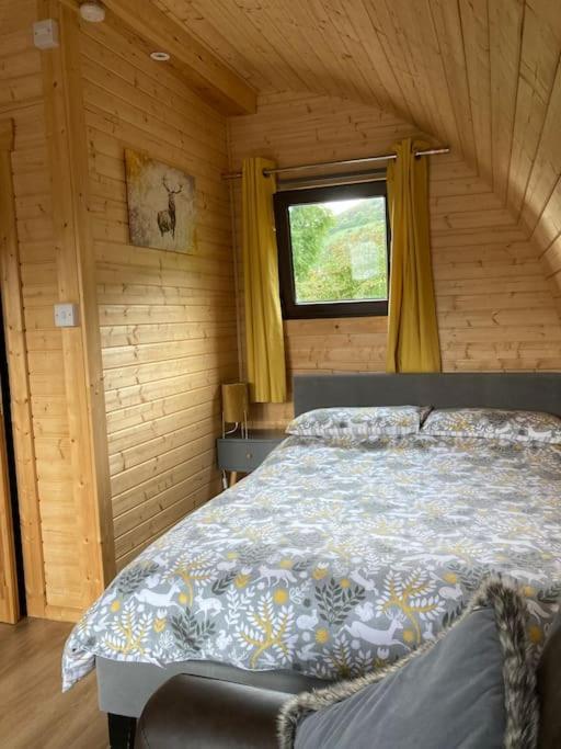The Fox'S Den, Luxury Cosy Mini Lodge, Highlands North Ballachulish Eksteriør billede