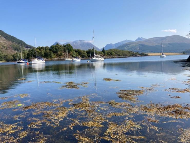 The Fox'S Den, Luxury Cosy Mini Lodge, Highlands North Ballachulish Eksteriør billede